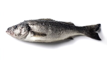 Obraz premium Fresh sea bass with glistening scales, captured in hyper-realistic detail on a white surface. menu design, packaging mockups, designed for food delivery and cloud-kitchen brand materials.