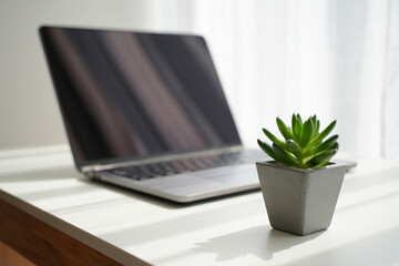 Fototapeta premium Laptop and Succulent Plant on White Table Simple Workspace Setup Modern Technology Minimalist Design Home Office Concept