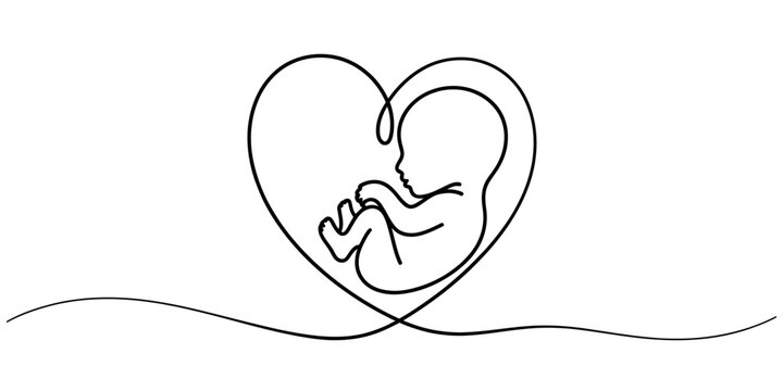 Continuous line drawing of a baby fetus inside a heart shape, symbolizing pregnancy, maternal love, new life, and protective care. Vector, illustration