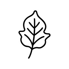 Outline drawing of a single leaf with veins visible on transparent background