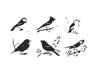 Nightingale and canary birdsong series icon