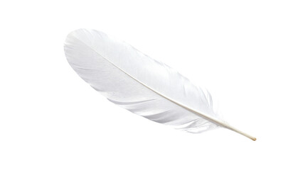 Obraz premium Elegant white feather resting on a soft surface highlighting its delicate structure and natural beauty
