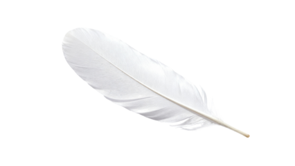 Elegant white feather resting on a soft surface highlighting its delicate structure and natural beauty