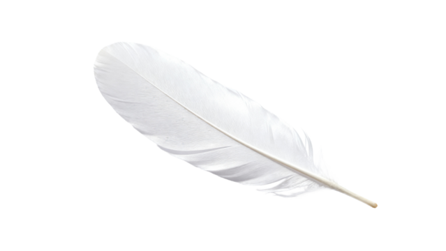 Elegant white feather resting on a soft surface highlighting its delicate structure and natural beauty