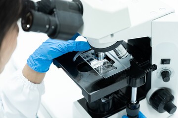 Selective focus technician working  and urine exam plate with microscope for scientist diagnosis at  laboratory department in the hospital.Medical analysis concept.