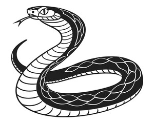 vector illustration of a snake