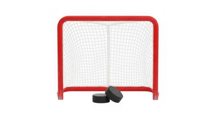 Ice hockey goal net with two black pucks, winter sport equipment.