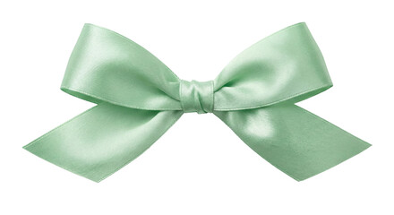 Elegant pastel mint green satin gift bow