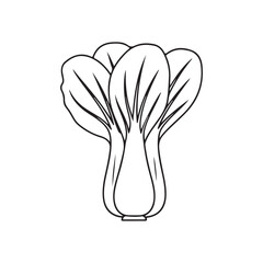 Bok choy outline vector flat illustration design