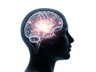 Luminous brain activity visualization scientific medical human head outline transparent background