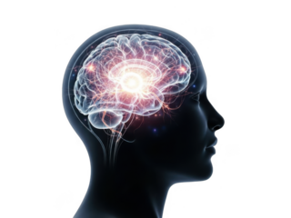 Luminous brain activity visualization scientific medical human head outline transparent background