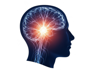 Glowing brain activity silhouette representing neural network and cognitive function transparent background