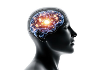 Visualizing neural activity and cognitive processes within the human brain transparent background