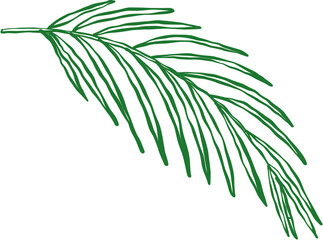Doodle Hand-Drawn Biblical Palm Leaves Set Sketch