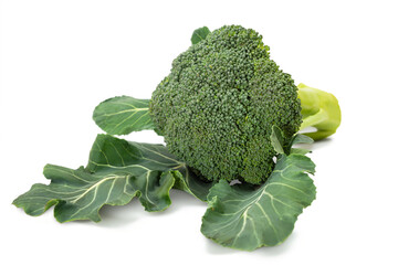 Broccoli with fresh green leaves placed on a clean white background showcasing healthy vegetables