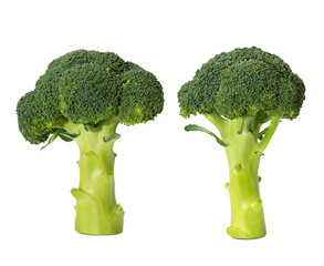 Two vibrant heads of fresh broccoli displayed side by side on a plain background for a healthy cooking option