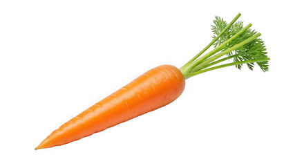 Fresh whole orange carrot with vibrant green leaves, isolated