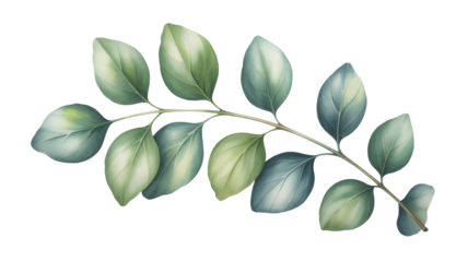 Elegant watercolor eucalyptus branch offers a touch of nature for creative designs and invitations
