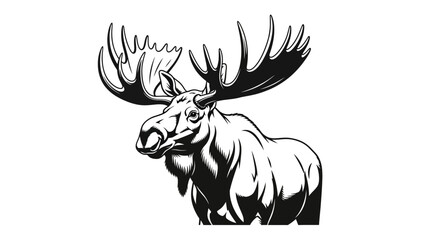Majestic moose head with giant antlers, stunning wildlife animal for nature lovers and outdoor adventure design
