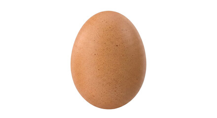Single raw brown chicken egg standing upright
