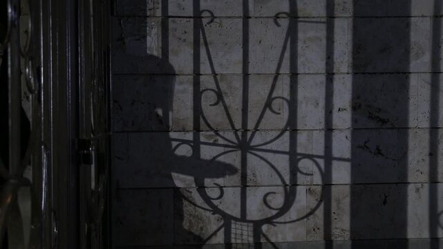 The dark silhouette of a woman is projected onto a tiled wall as she opens an ornate iron gate at night, creating a mysterious and dramatic atmosphere.

