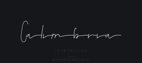 Elegant modern alphabet letters font logo. Typography luxury classic lettering serif italic fonts wedding vintage retro logos. vector illustration