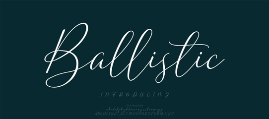 minimalist serif italic fonts decorative wedding vintage retro logos. Minimal luxury font alphabet logo. Vector illustration