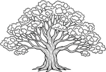Obraz premium Highly Detailed Vector Line Art Illustration of a Mature Tree with Broad Canopy and Textured Trunk, Representing Nature, Growth, and Longevity, Perfect for Logos, Graphics, and Eco-Themed Designs.