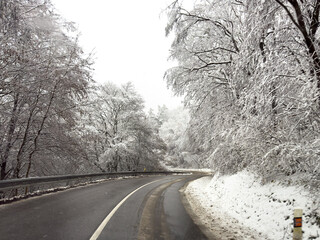 Winter road surrounded by icy trees, slippery surface and falling branches creating dangerous driving conditions.