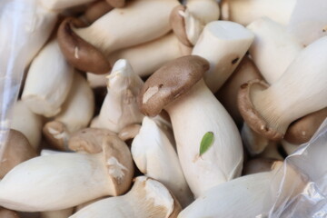 A close-up pile of white King Oyster mushrooms with brown caps, featuring a small green leaf on one of the stems
