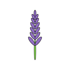Vector Clip Art Lavender on White Background for Web and Graphic Design