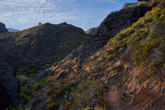 Mountain trail through Anaga terrain
