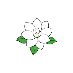 vector clip art magnolia on white background for web and graphic design