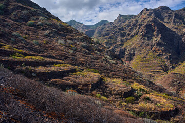 Disused terraces in Anaga mountains