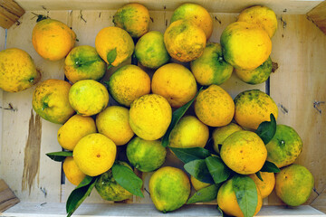Wooden crate filled with fresh yellow and green tangerines. Represents organic citrus harvest, farm-fresh produce, natural farming results, seasonal fruit collection, and Mediterranean orchard yield.