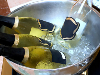 Champagne bottles lie in a metal ice bucket with gold and black labels, suggesting a celebration or upscale gathering. A stylish, festive scene ideal for luxury lifestyle or party imagery.