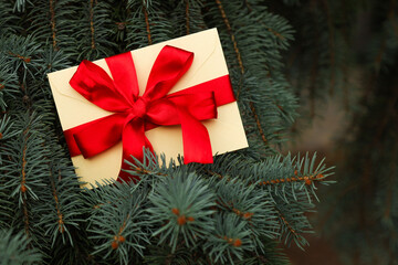 Gift certificate with a red satin ribbon on fir branches background