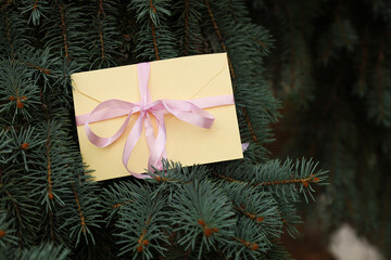 Certificate with a soft purple satin ribbon on fir tree branches background