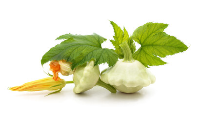 Pattypan squashes with leaves and blossoms on white.