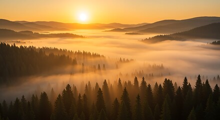 Obraz premium Majestic dawn landscape with fog covering the forest and mountains