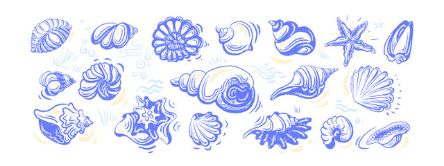 Seashell sketch crayon set Hand drawn illustration