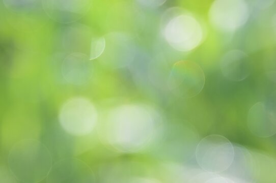 green bokeh abstract background