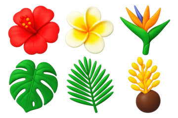 Set of six flower images, including a palm tree, a hibiscus, a frond, a fern