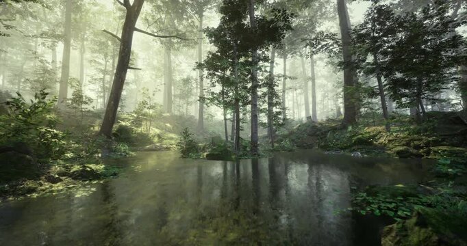 Sunlight filters through towering trees, illuminating a serene forest landscape. A tranquil pond reflects the vibrant greenery and rocks surrounding it, creating a peaceful atmosphere.