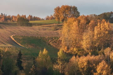 Fototapeta premium Sunrise Over Rolling Hills in Suwalski Park Krajobrazowy, Poland.