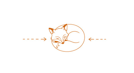 Fox text divider featuring a curled-up sleeping fox in a minimalist style