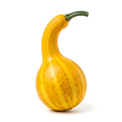 A single yellow gourd with a curved neck on white