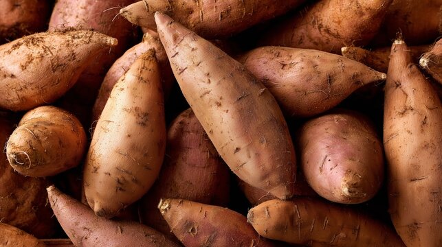 Sweet potatoes covering the frame, still having soil from fresh harvest