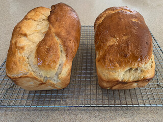 NC Hville Fresh Baked Bread 2025