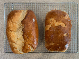 NC Hville Fresh Baked Bread Top View 2025